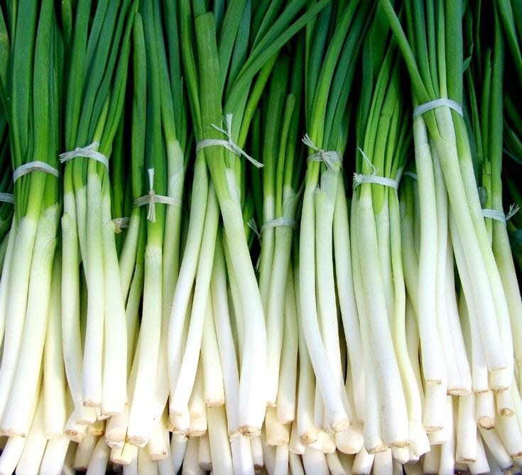 Spring Onion